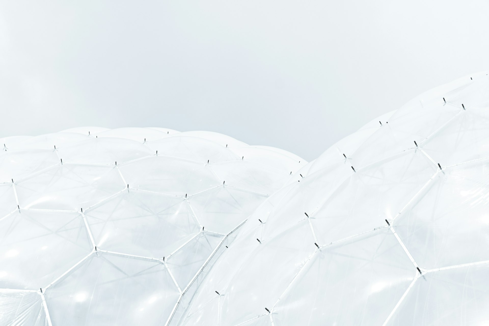 background pattern